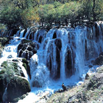 1_8.jpg (36379 bytes)